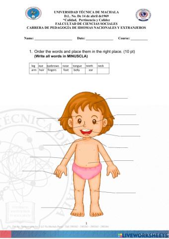 Parts of the human body