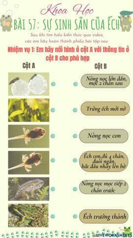 Sự sinh sản của ếch - pbt