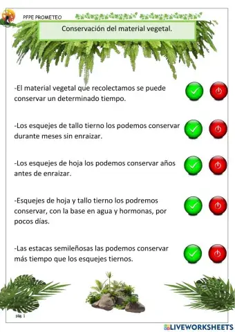Conservación de material vegetal