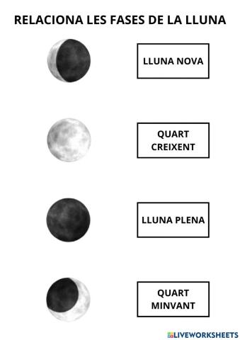 Relaciona les fases de la lluna