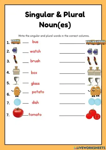 Singular and plural nouns(es) 05021023