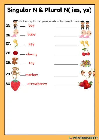Singular and plural nouns( ies, ys)
