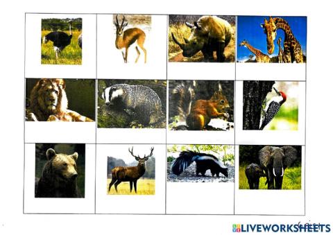 On viuen els animals? Bosc i sabana