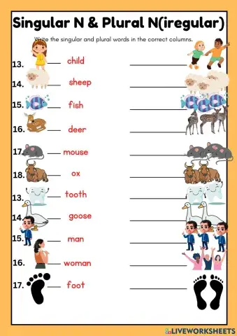 Singular and plural nouns- irregular- 06022023