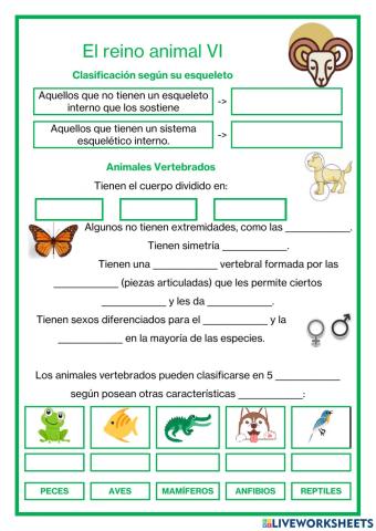 El reino animal VI - Clasificación según su esqueleto
