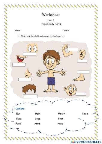 Unit 1: Body Parts