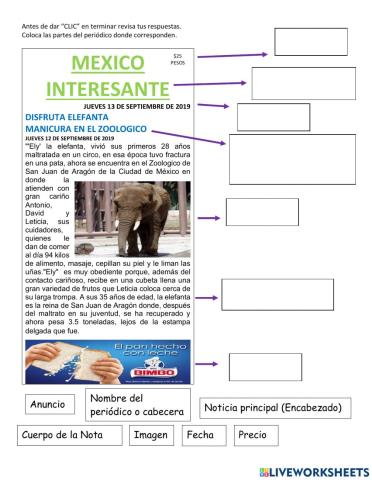 Partes del periódico