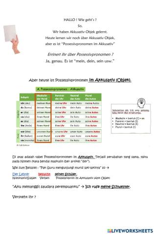 Possessivpronomen im Akkusativ