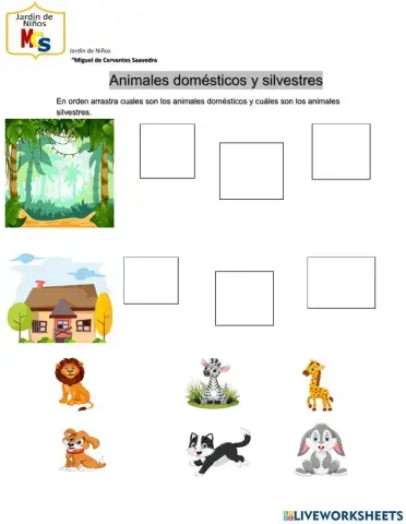 Animales domesticos y silvestres