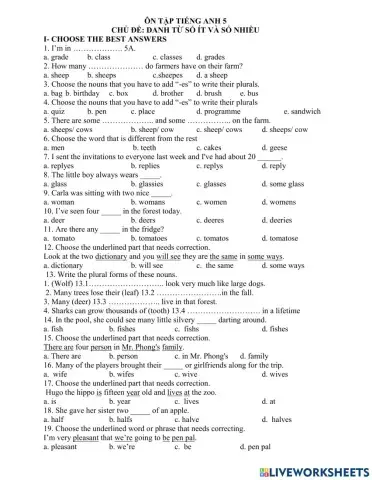 Plural and singular nouns grade 5
