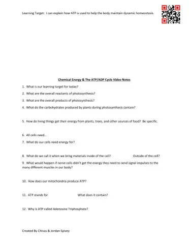 Chemical Energy & The ATP-ADP Cycle Video Notes