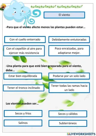 Viento en las plantas