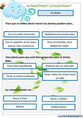 Viento en las plantas