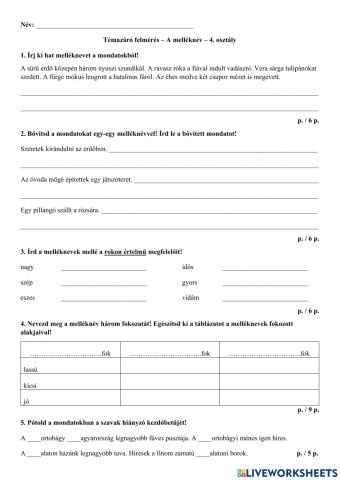 Témazáró-Nyelvtan-Melléknév