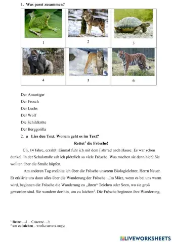 Leseverstehen Text -Rettet die Frösche!-