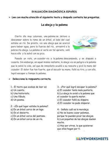 Diagnóstico español