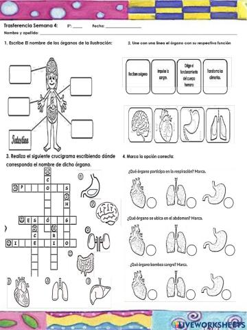 CN Tranferencia Sem 4