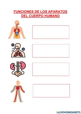 Función de los aparatos de la función de nutrición