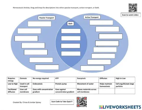 Biology Milestones Active vs. Passive Transport Activity