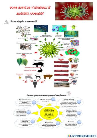 Роль вірусів у природі й  житті людини