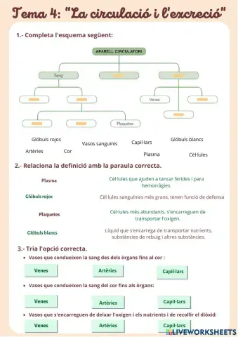 Circulació i excreció