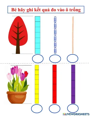 Đo 1 đối tượng