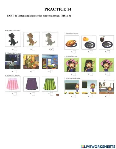 Starters-Practice 14