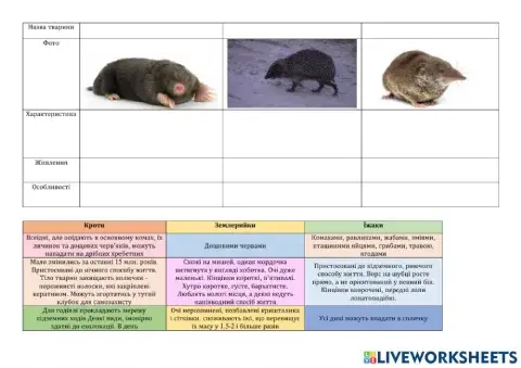 Комахоїдні