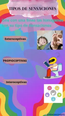 Procesos cognitivos con imagenes