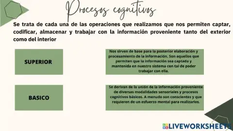 Procesos cognitivos unir