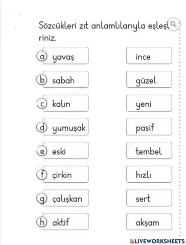 Zıt Anlam Eşleştirme