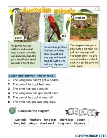OD2 u2 animals body parts reading