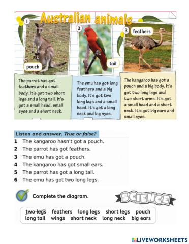 OD2 u2 animals body parts reading