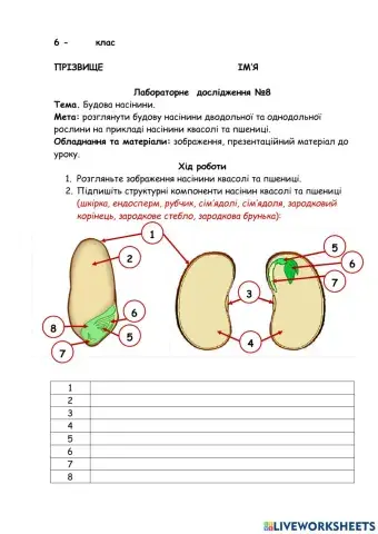 Лабораторне дослідження. Будова насінини