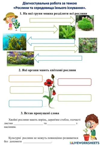 Діагностувальна робота Рослини