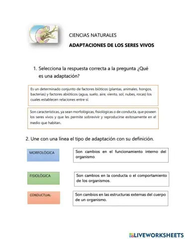 Adaptaciones de los seres vivos