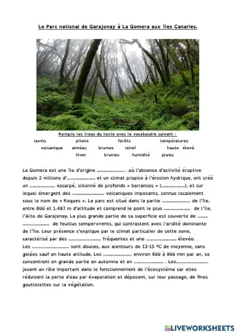 Nature: Parc National Garajonay - Gomera - Canaries