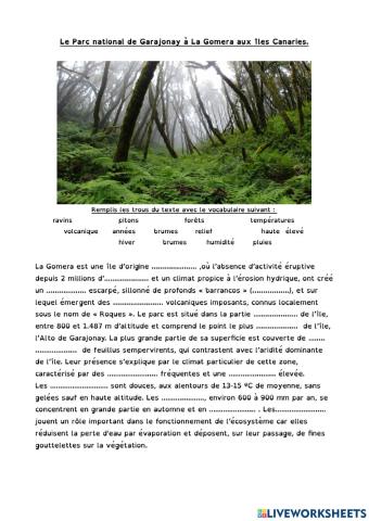 Nature: Parc National Garajonay - Gomera - Canaries