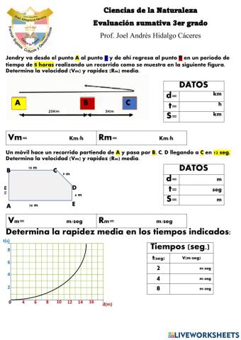 Velocidad y Rapidez media