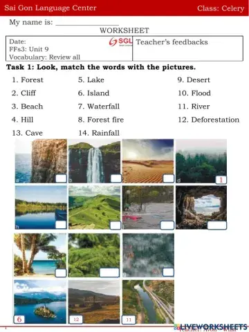 What's the fastest animal in the world?