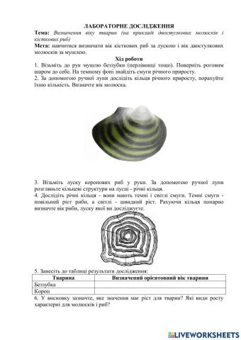 Лабораторне дослідження: Визначення віку тварин.