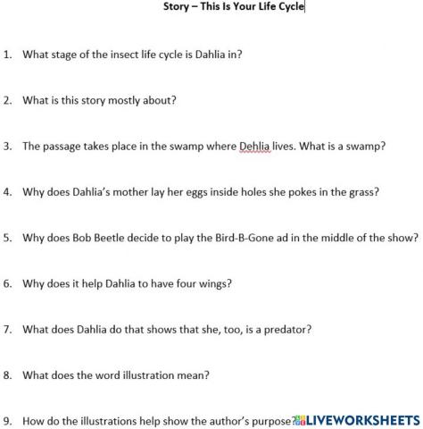 This Is Your Life Cycle