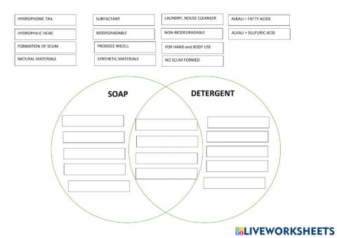 Venn diagram soap vs detergent