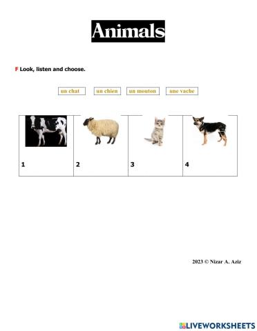 Animals: drop and drop