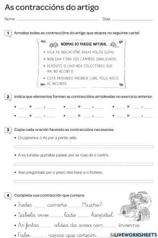 Contraccións do artigo