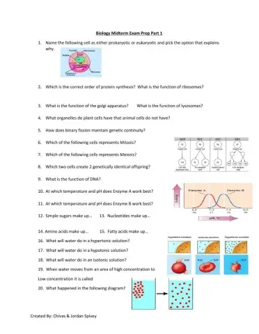 Cells Part 2 Assessment Prep
