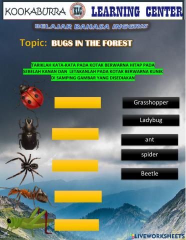 Bugs in the forest