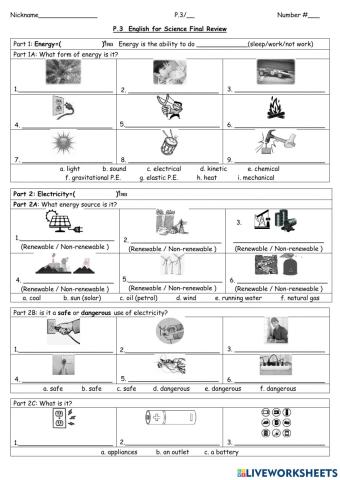 P.3-3 English for Science Final Test Review Worksheet