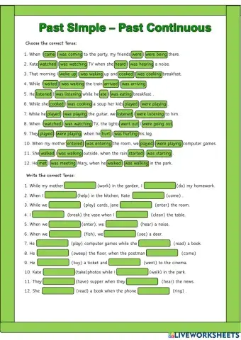 Past Simple Past Continuous