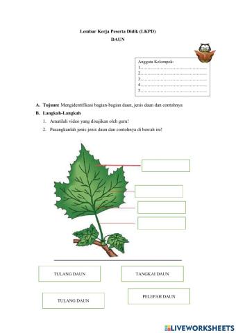Lembar kerja peserta didik daun